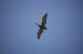 DSC_0110as